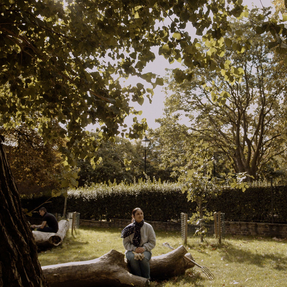 HACKNEY CHURCH GARDENS