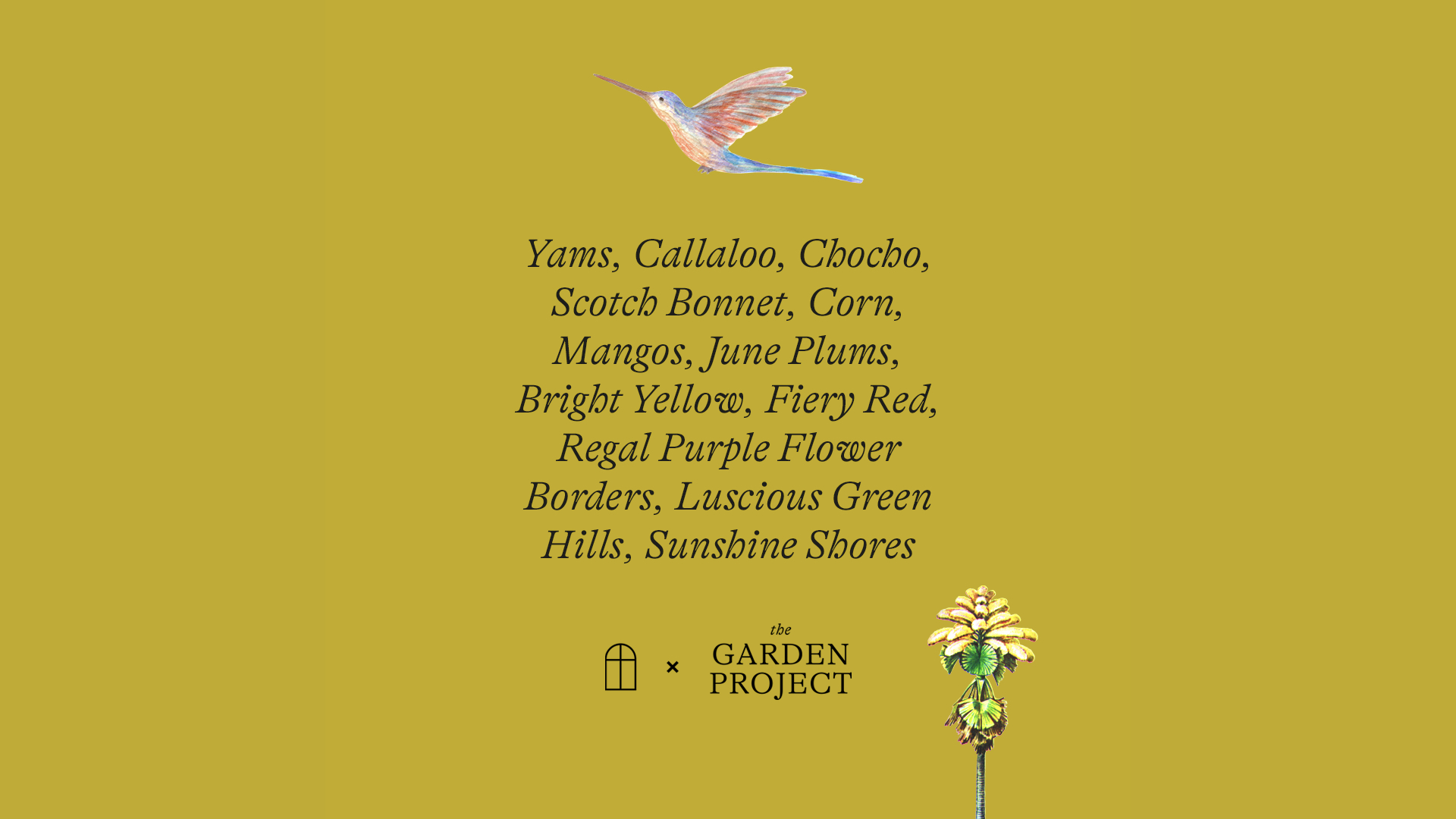 The Windrush Border – ‘Home’